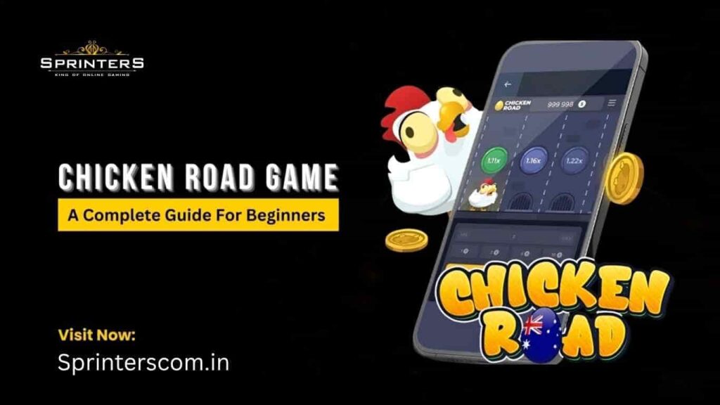 Chicken Road Game Guide
